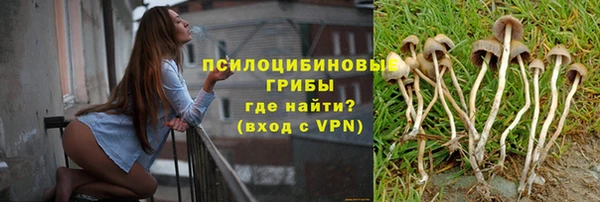 молекула духа Алзамай